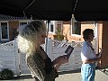 IMG_6463