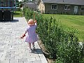 IMG_7018