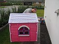 IMG_7076b