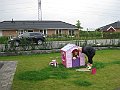 IMG_7151