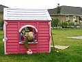 IMG_7174