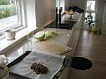 IMG_7203