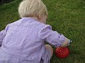 IMG_6984