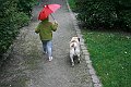 IMG_8648