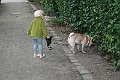 IMG_8650