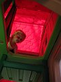 IMG_7544