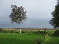 IMG_7579