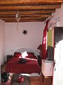 IMG_7781