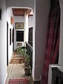 IMG_7784