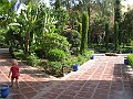 IMG_7962