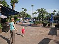 IMG_7964