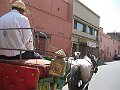 IMG_8048