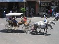 IMG_8103