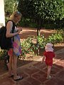 IMG_8113