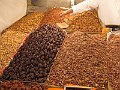 IMG_8135