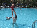 IMG_8185