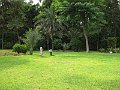 IMG_8242