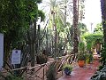 IMG_8281