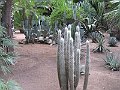 IMG_8285