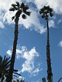 IMG_8289