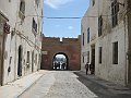 IMG_7942