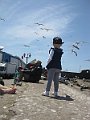 IMG_7877