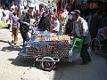 IMG_7908