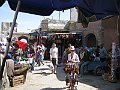 IMG_7907