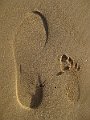 IMG_7927