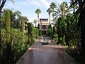 IMG_8019