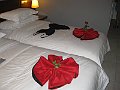 IMG_8174