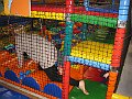 IMG_7354
