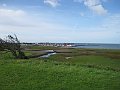 IMG_8450