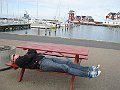 IMG_8471