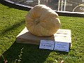 IMG_8575c