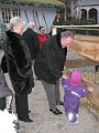 IMG_8749