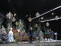 IMG_8756