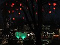 IMG_8805