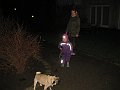 IMG_9061