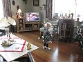 IMG_9071