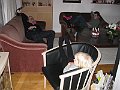 IMG_9169