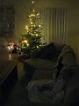 IMG_8993