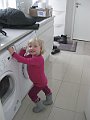 IMG_9381