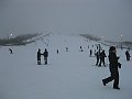 IMG_9428