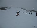 IMG_9437