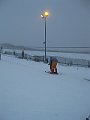 IMG_9453