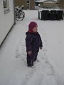 IMG_9317