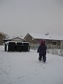 IMG_9319