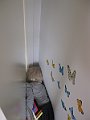 IMG_9532