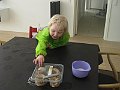 IMG_0081